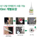 푸른솔디자인 이미지