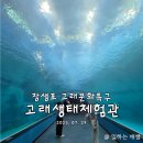 하이고래 | 울산 아이들과 가기 좋은 실내 수족관, 고래생태체험관