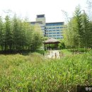 한밭수목원 이미지