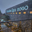 파라다이스스파도고 | 애매하게 추울수록 더 땡기는 스파! 파라다이스스파도고 이용 후기