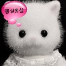 (주)라쿤소프트 | 더현대 서울 ‘ The Barnnet 더바넷 ‘ 방문 후기 및 25 Winter 입어보기