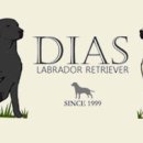 다이아스 이미지