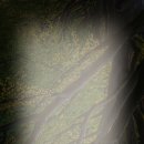 태안현대예복 | 태안군 한채당 한옥체험관, 고요한 시간 속의 여유