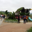 순천만그리고나 이미지