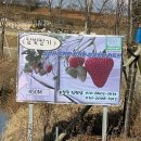 달빛농원 이미지