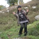 초원목장B 이미지