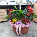 유현석치과의원 이미지