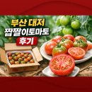 토마토 | 단짠단짠 진짜 맛있을까? 부산 대저 짭짤이토마토 2.5kg 후기