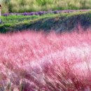 하늘농원1호 이미지