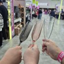 국제엑스포노래연습장 | 2024 대전 국제 와인엑스포 후기 : 시음존부터 재즈페스티벌까지