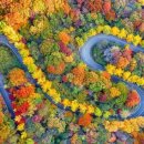 휴양림로 이미지