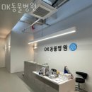 OK동물병원 | 강남구 역삼동 동물병원 OK동물병원 위치 오는길 후기