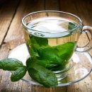 페퍼민트 이미지