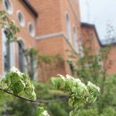 분할연금과 관련하여 놓쳐서는 안 될 세 가지 #대구이혼전문변호사 #대구가사변호사 #변호사강정한 이미지