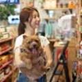 시엠프레꼬모도밍고 이미지