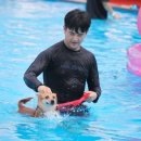 도그 스포지움 이미지