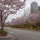 해운대구 문화복합센터 이미지