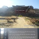 참꽃호출택시