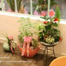 몽스토리 이미지