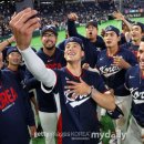 안타코리아 이미지