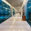 해돋이공원(더샾 앞) | [아기랑 동해여행]정동진 썬크루즈호텔 &amp; 리조트 부대시설 / 정동진해돋이공원 / 아기랑 정동진 산책코스