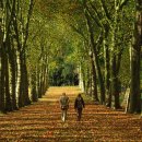 유일한방 이미지