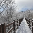 더하얀세상 | 발왕산 상고대 눈꽃 후기, 올해 마지막 설경 체험