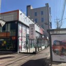 금화왕돈까스 경산진량점 | [경산] 금화왕돈까스 경산영대점 포장 후기 / 의외로 카레 맛집