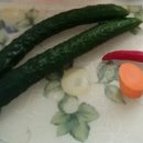 마이푸드 이미지