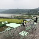 커피그린 이미지