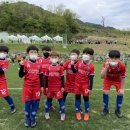 김포주니어풋볼클럽