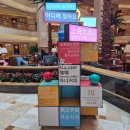 센트럴 | 상하이 5성급 호텔 추천 가족 여행 그랜드센트럴 후기