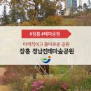 정남진테마숲 이미지