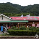 봉화 분천역 ‘한여름의 산타축제’ 이미지