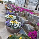 현진2농장 이미지