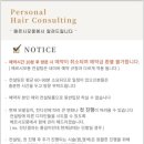 메르시모몽 이미지