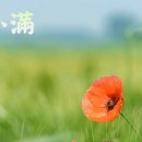 소*만