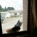 진목마을회관 이미지