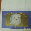 (주)그린오크 이미지