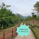 진관사입구 공중화장실 이미지