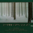 갈대숲소리, 플룻 이미지