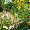 오늘도 신선 이미지