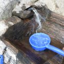 배재대학교 한류문화산업대학원 | 눈물 한 방울