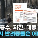 위클 이미지