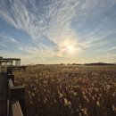 다대포 돌짜장 이미지