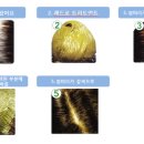 퀸즈헤나 염색 이미지