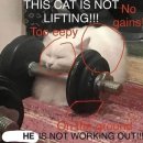 모가우체국 앞 이미지