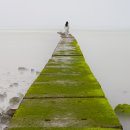 바다로 가는 사람들 이미지