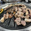 돼지소개소 이미지