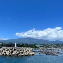 늘 올레 스테이 이미지